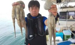 恵比寿丸(兵庫) 釣果