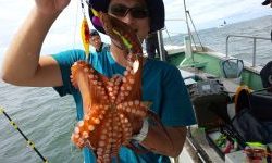 恵比寿丸(兵庫) 釣果