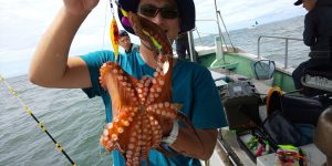 恵比寿丸(兵庫) 釣果