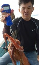 恵比寿丸(兵庫) 釣果