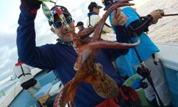 恵比寿丸(兵庫) 釣果