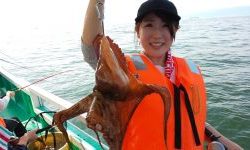 恵比寿丸(兵庫) 釣果