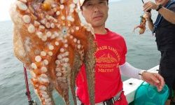 恵比寿丸(兵庫) 釣果