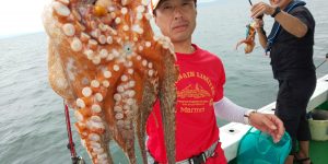 恵比寿丸(兵庫) 釣果