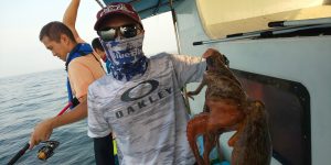 恵比寿丸(兵庫) 釣果