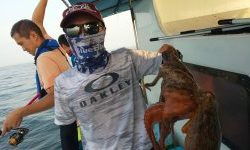 恵比寿丸(兵庫) 釣果