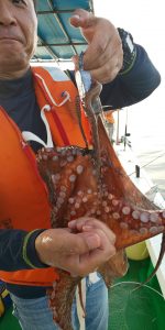 恵比寿丸(兵庫) 釣果