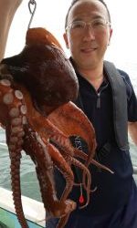 恵比寿丸(兵庫) 釣果