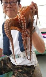 恵比寿丸(兵庫) 釣果