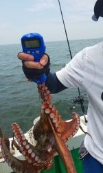 恵比寿丸（兵庫） 釣果