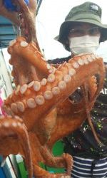 恵比寿丸（兵庫） 釣果