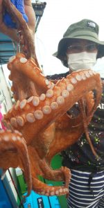 恵比寿丸（兵庫） 釣果