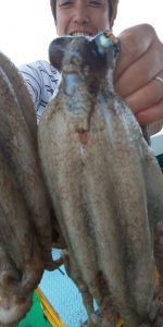 恵比寿丸（兵庫） 釣果