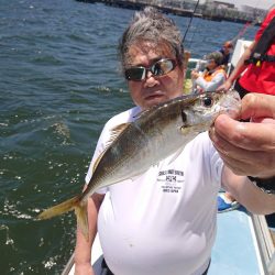 深川 吉野屋 釣果