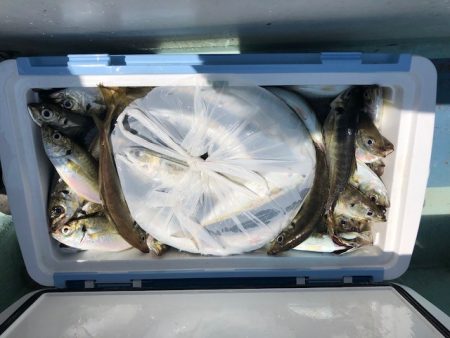 深川　吉野屋 釣果