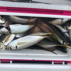 深川 吉野屋 釣果