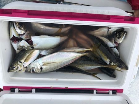 深川 吉野屋 釣果