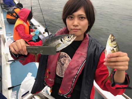 深川 吉野屋 釣果