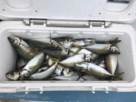 深川 吉野屋 釣果