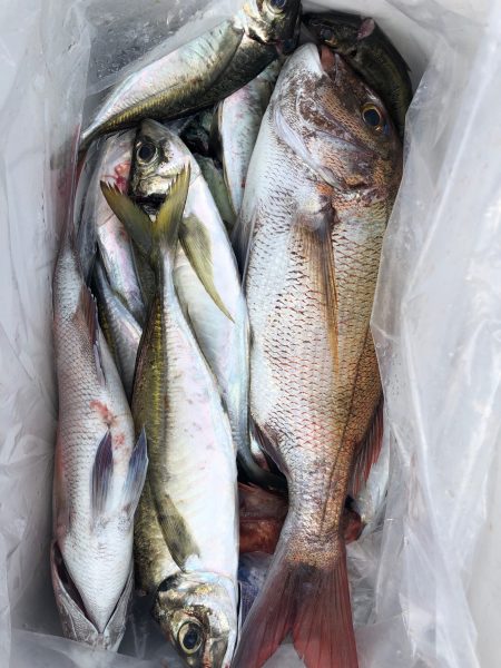 星隆丸 釣果