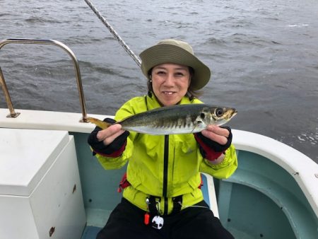 深川　吉野屋 釣果