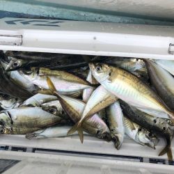 深川　吉野屋 釣果