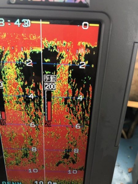 深川　吉野屋 釣果