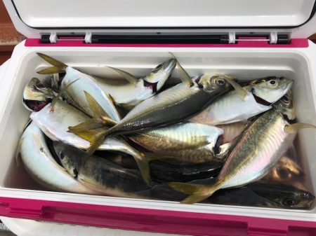 深川　吉野屋 釣果