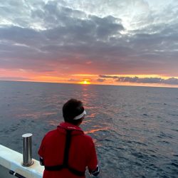 オーシャンズ　京都 釣果