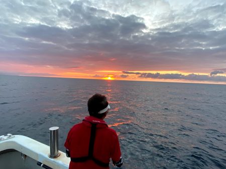 オーシャンズ　京都 釣果