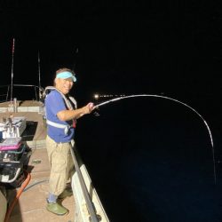 オーシャンズ　京都 釣果