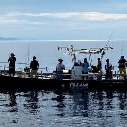 オーシャンズ　京都 釣果