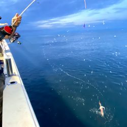 オーシャンズ　京都 釣果