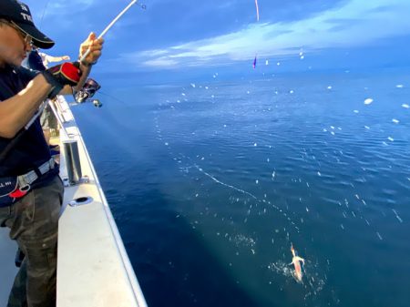 オーシャンズ　京都 釣果