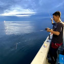 オーシャンズ　京都 釣果