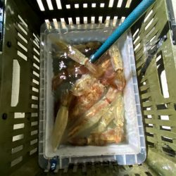 オーシャンズ　京都 釣果