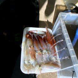 オーシャンズ　京都 釣果