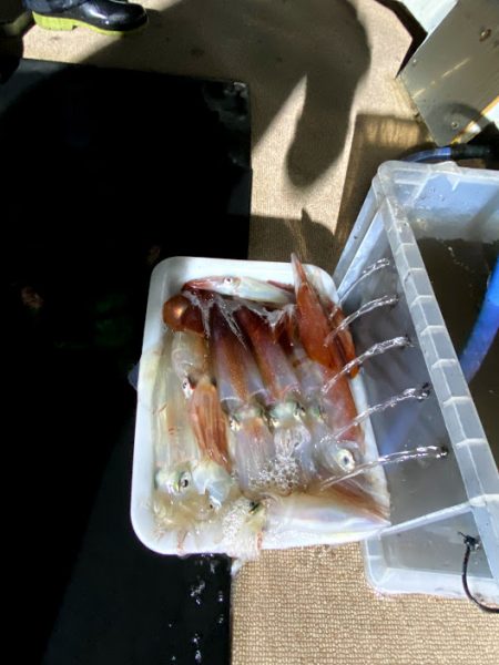 オーシャンズ　京都 釣果