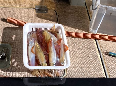 オーシャンズ　京都 釣果