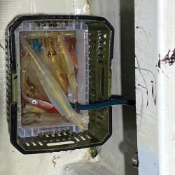 オーシャンズ　京都 釣果