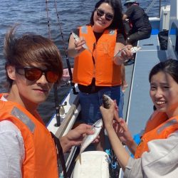 深川　吉野屋 釣果