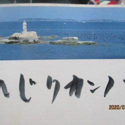 まとばや 釣果