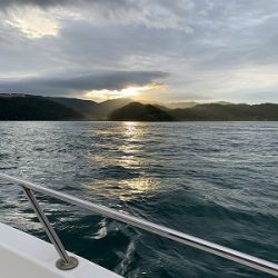 フィシングボートAir(エアー) 釣果