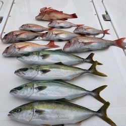 フィシングボートAir(エアー) 釣果