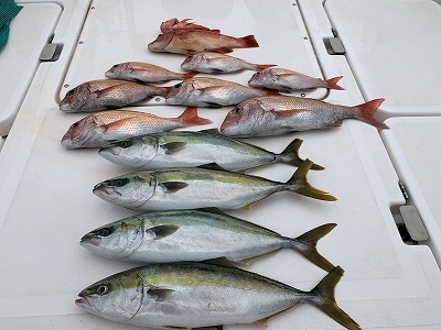 フィシングボートAir(エアー) 釣果