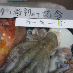 まとばや 釣果