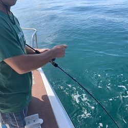 フィシングボートAir(エアー) 釣果