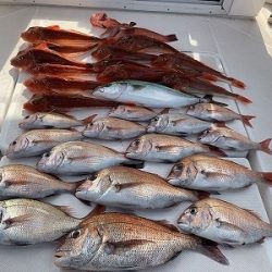 フィシングボートAir(エアー) 釣果