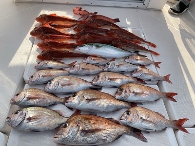 フィシングボートAir(エアー) 釣果