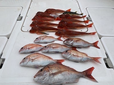 フィシングボートAir(エアー) 釣果